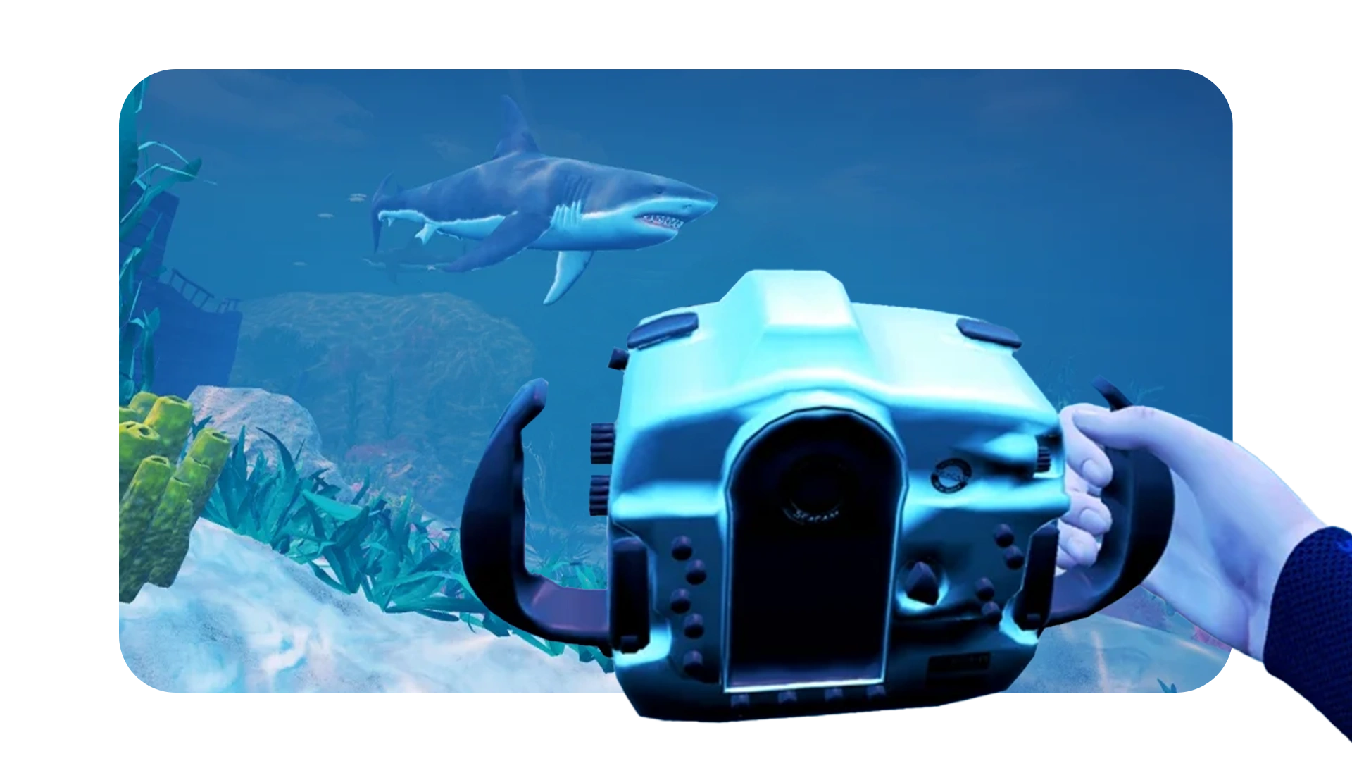 Sharkproject VR